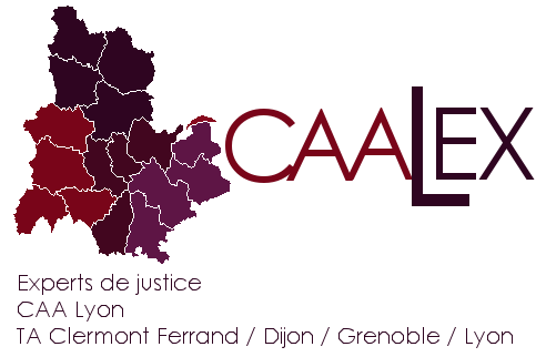 Inscription du cabinet sur la liste des Experts près la CAA