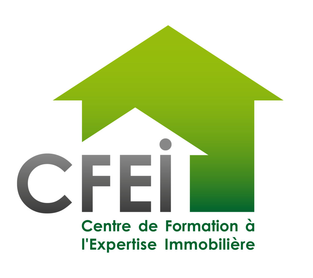 logo-cfei-carre-couleur-fond-blanc-web