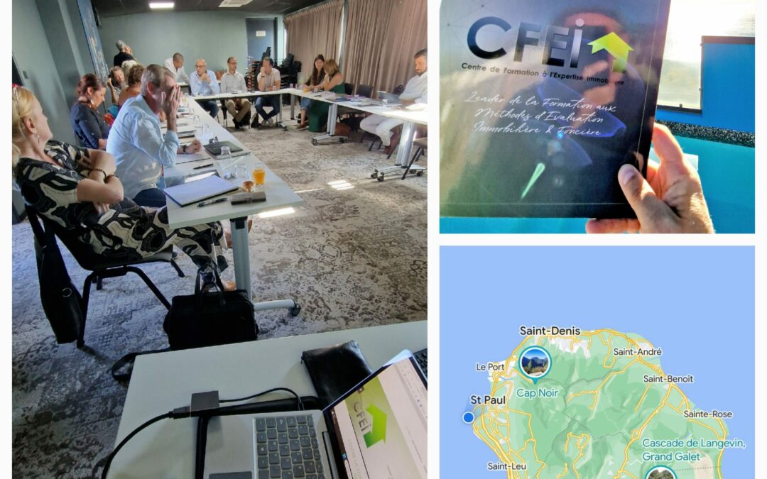 Intervention de Philippe Favre-Réguillon pour une session de formation sur l’Ile de la Réunion