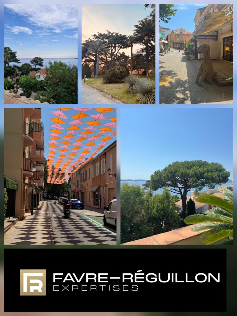 CAMPAGNE EXPERTISES SUD FRANCE CABINET FAVRE REGUILLON EXPERTISES CAMPAGNE EXPERTISES SUD FRANCE CABINET FAVRE REGUILLON EXPERTISES