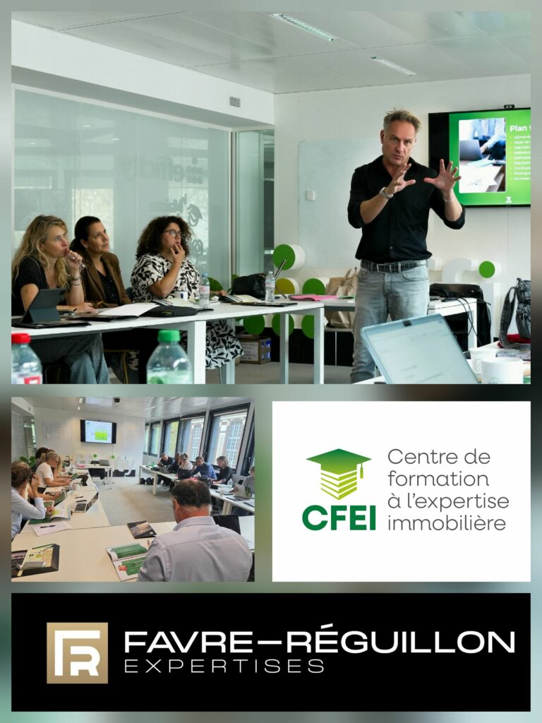 PHILIPPE FAVRE REGUILLON EXPERT JUDICIAIRE IMMOBILIER FORMATEUR CFEI SESSION EFFICITY PARIS PHILIPPE FAVRE REGUILLON EXPERT JUDICIAIRE IMMOBILIER FORMATEUR CFEI SESSION EFFICITY PARIS